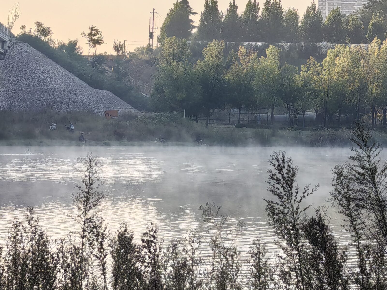 晨雾贴着水面,阳光一照,像撒了一层金