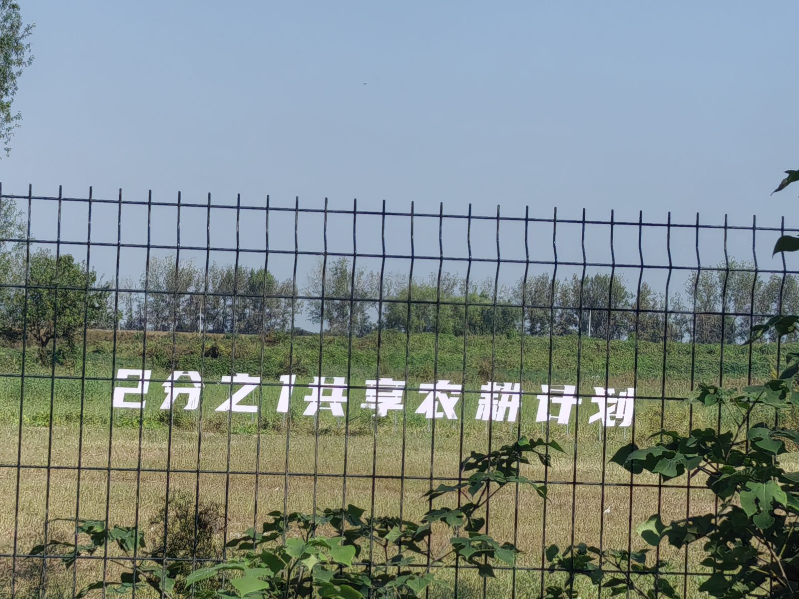 路边的「2分之1共享农耕计划」